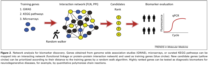 Network analysis workflow connecting genomic evidence to candidate ranking and biomarker evaluation
